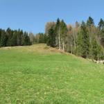 was für ein Prachtswetter. Wir schwitzen und das anfangs April!