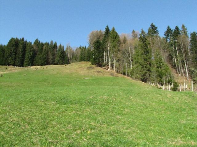 was für ein Prachtswetter. Wir schwitzen und das anfangs April!