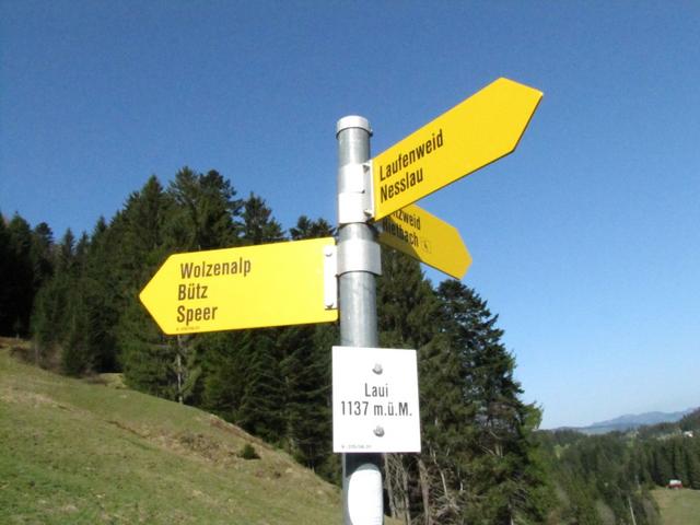 Wegweiser bei Laui 1137 m.ü.M.