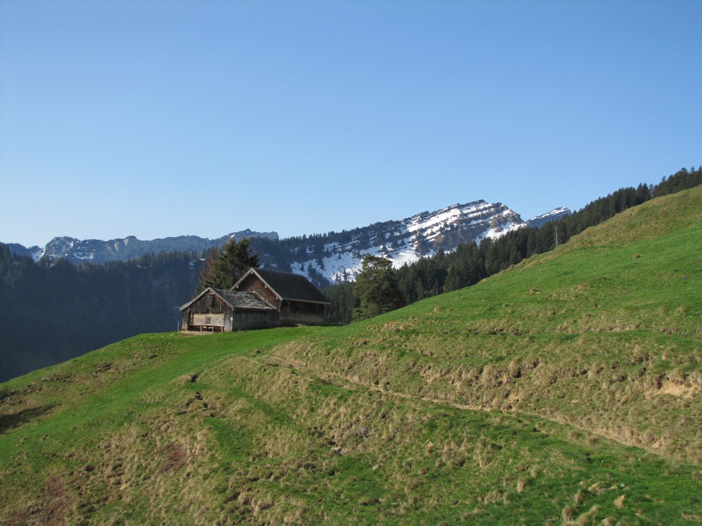 wir haben Spitz erreicht