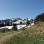 Blick zum Speermürli, mit Bützalpsattel