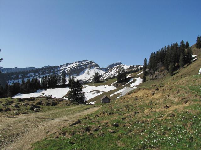 Blick zum Speermürli, mit Bützalpsattel