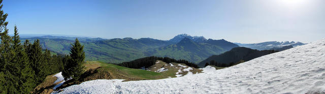 schönes Breitbildfoto. In der mitte der Säntis, rechts schön aufgereiht die Churfirsten