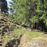 weiter führt uns nun der Bergpfad Richtung Bremacher Höchi