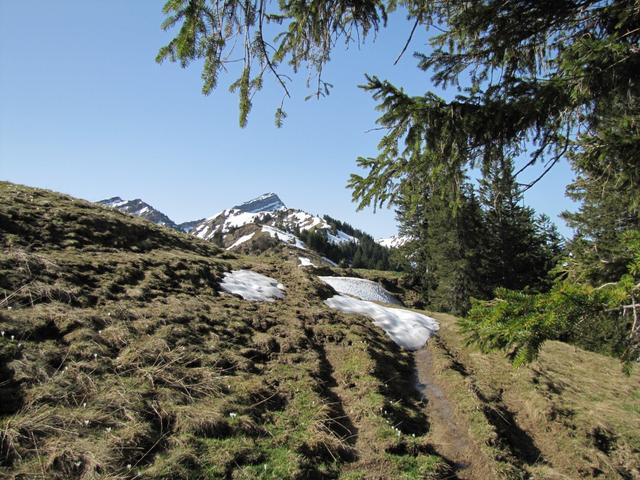 wir haben den 1526 m.ü.M. hohen Wannenspitzli erreicht