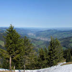 schönes Breitbildfoto. Blick Richtung Wattwil und Bodensee. Von der Bremacher Höchi aus gesehen