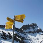 Wegweiser auf der Alp Bütz. Im Hintergrund der Speer. Den haben wir auch schon besucht