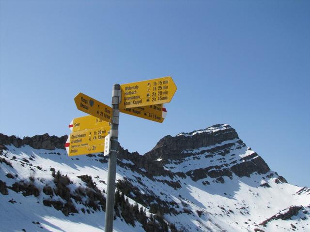 Wegweiser auf der Alp Bütz. Im Hintergrund der Speer. Den haben wir auch schon besucht