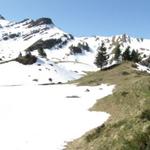 den direkten Weg nach Tanzboden ist nicht möglich. Es liegt noch zuviel Schnee auf der Elisalp