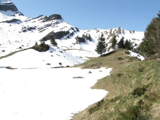 den direkten Weg nach Tanzboden ist nicht möglich. Es liegt noch zuviel Schnee auf der Elisalp