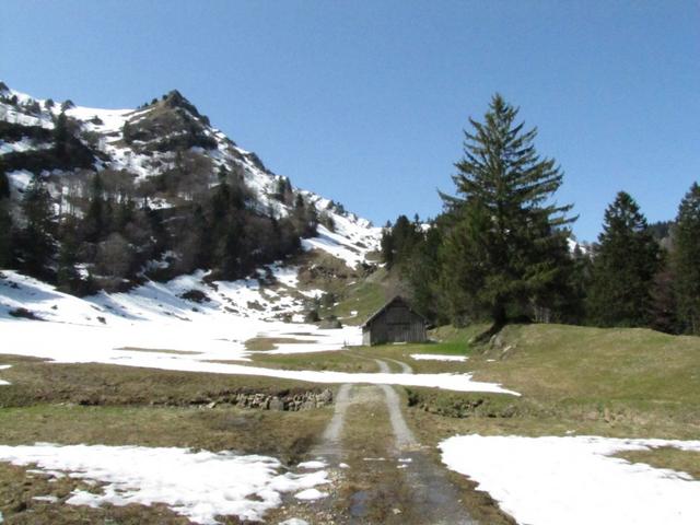 über schnebedeckte Hänge erreichten wir Oberbodmen