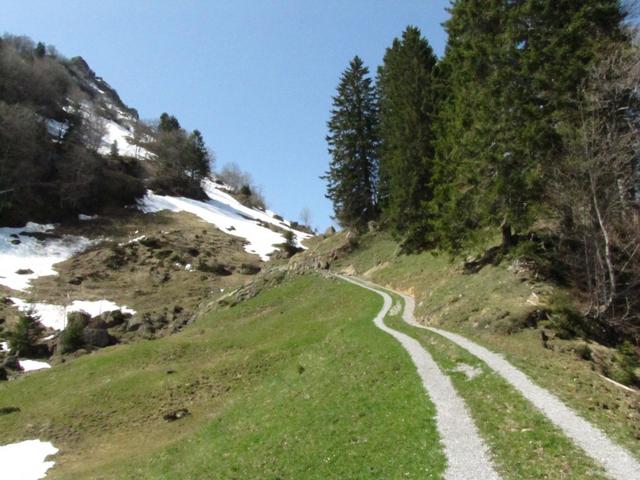 auf gutem Weg, ging es danach weiter Richtung Wannen 1368 m.ü.M.