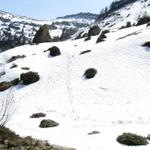 der normale Wanderweg zum Übergang hat zuviel Tiefschnee. Wir weichen rechts ab. Hier versank Mäusi im Tiefschnee