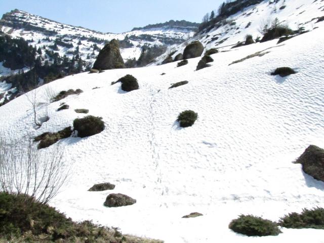 der normale Wanderweg zum Übergang hat zuviel Tiefschnee. Wir weichen rechts ab. Hier versank Mäusi im Tiefschnee