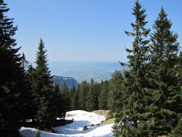 Blick Richtung Zürichsee