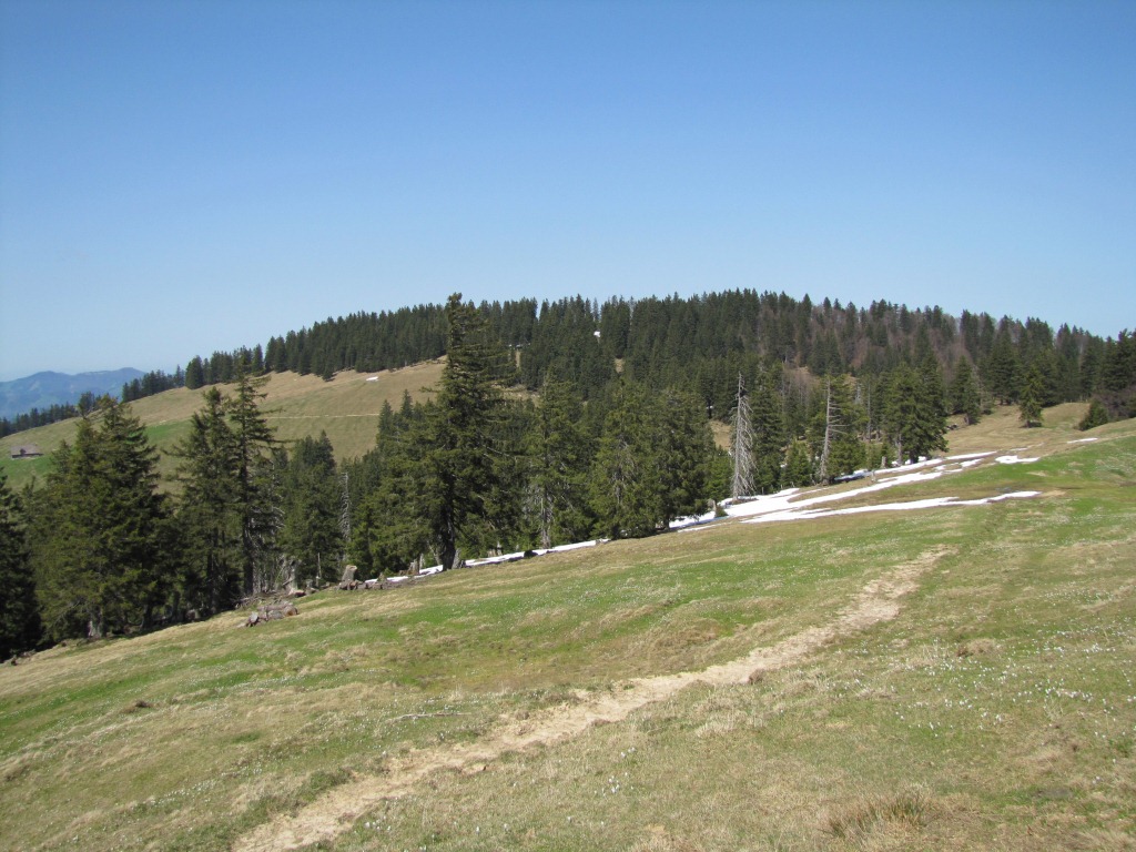 wir haben Schorhüttenberg bei Punkt 1393 m.ü.M. erreicht