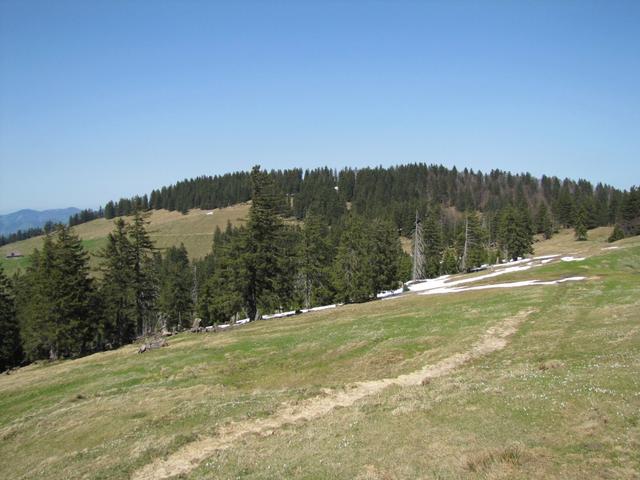 wir haben Schorhüttenberg bei Punkt 1393 m.ü.M. erreicht