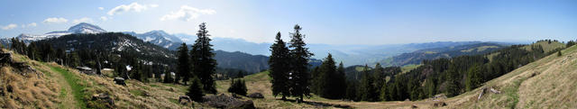 was für ein schönes Breitbildfoto, mit Blick Richtung Zürichsee