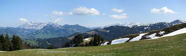 nochmals ein schönes Breitbildfoto mit Säntis und die Churfirsten