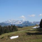 Blick zurück nach Oberbächen mit Säntis im Hintergrund