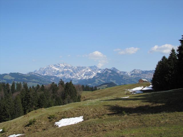 Blick zurück nach Oberbächen mit Säntis im Hintergrund