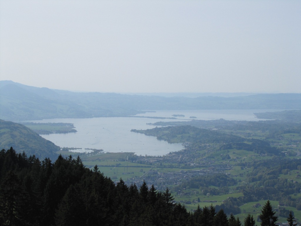 Blick auf den schönen Zürichsee