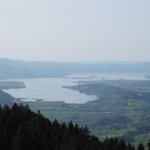 Blick auf den schönen Zürichsee