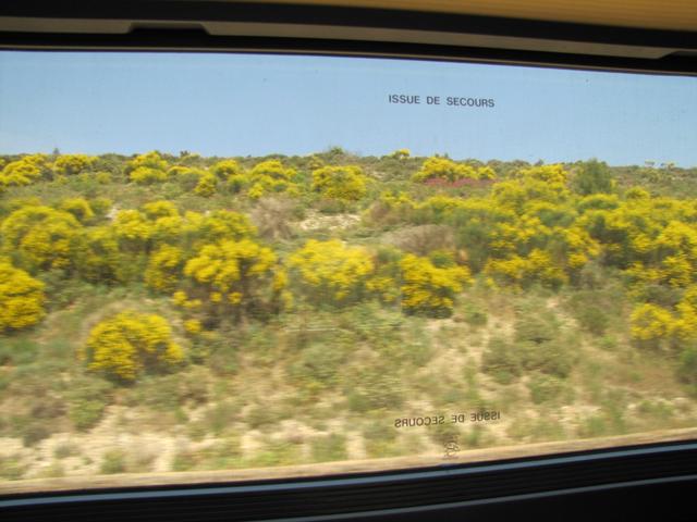Fahrt mit dem TGV von Lyon nach Montpellier
