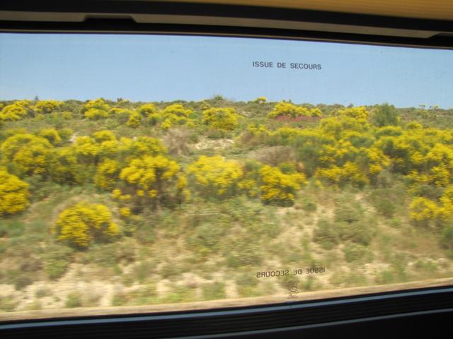 Fahrt mit dem TGV von Lyon nach Montpellier