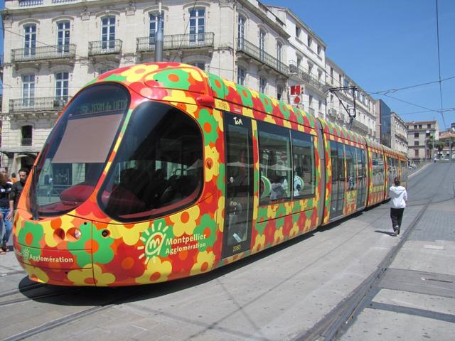 farbenfrohe Trams in Montpellier