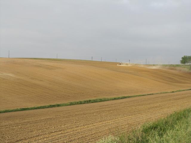 es hat schon lange nicht mehr geregnet. Für die Pilger ist dies gut. Für die Natur eher weniger