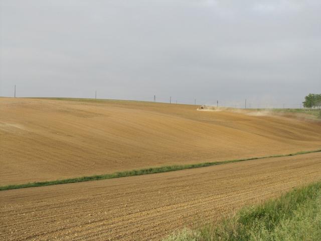 es hat schon lange nicht mehr geregnet. Für die Pilger ist dies gut. Für die Natur eher weniger