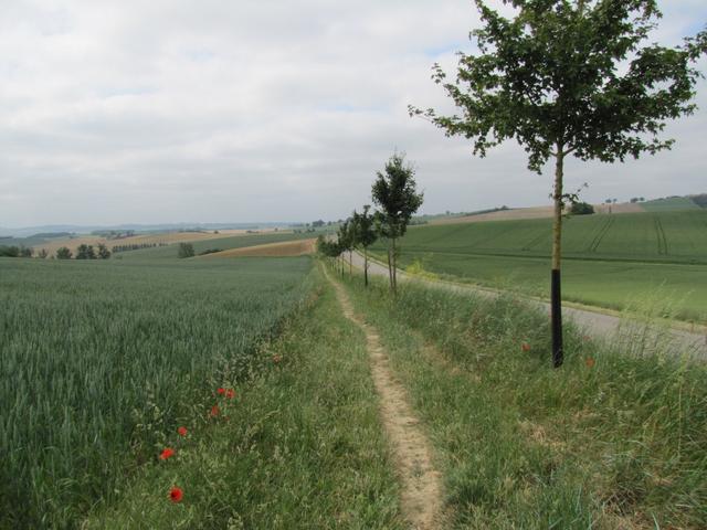 der Weg ist das Ziel