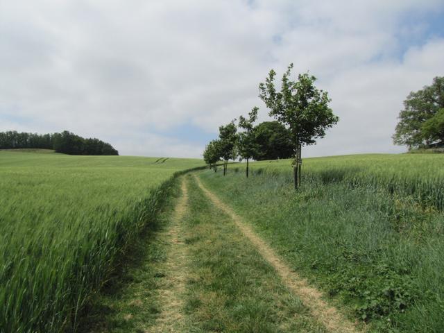 auf dem Weg nach Castet-Arrouy