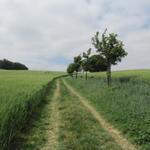 auf dem Weg nach Castet-Arrouy