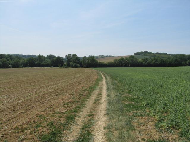 links Melonen, rechts Erbsen