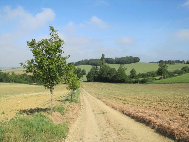 auf dem Weg nach Abrin