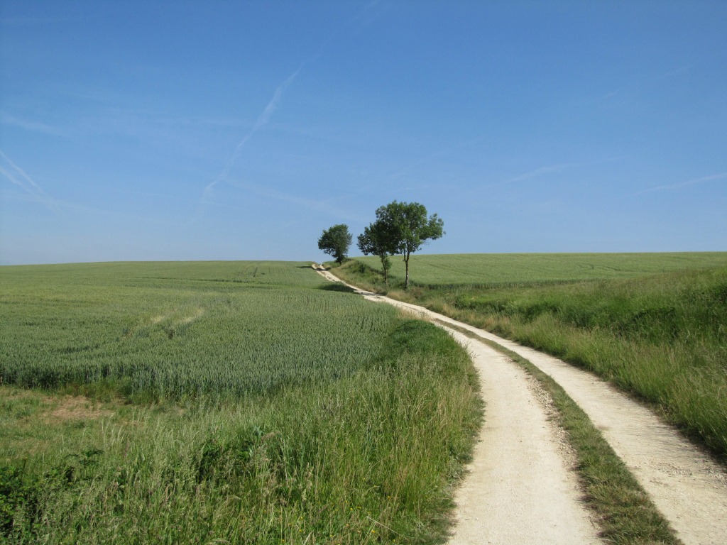 auch dieser Tag traumhaft schön und heiss