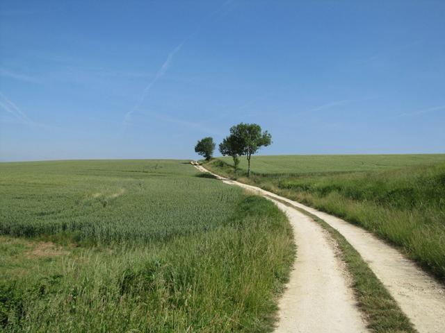 auch dieser Tag traumhaft schön und heiss