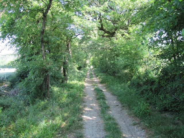 und durch schattenspendende Wälder