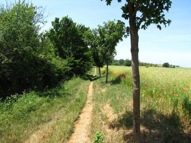 der Weg ist das Ziel