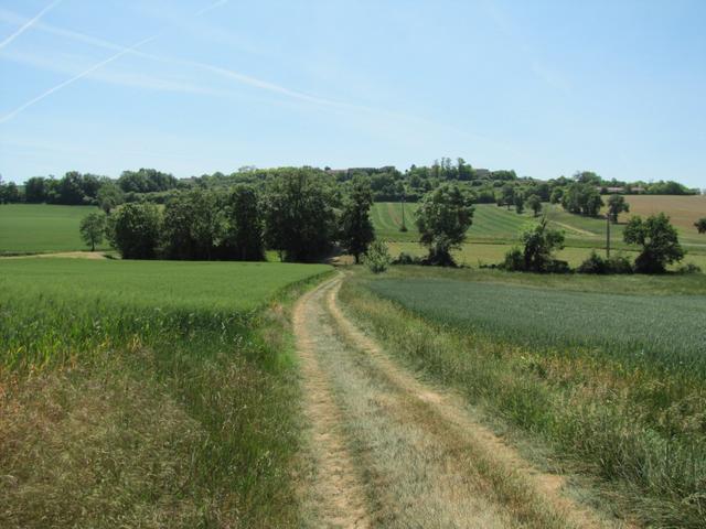 die Wegstrecke Lectoure - La Romieu - Condom ist UNESCO Weltkulturerbe