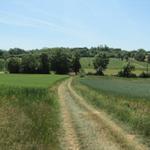 die Wegstrecke Lectoure - La Romieu - Condom ist UNESCO Weltkulturerbe