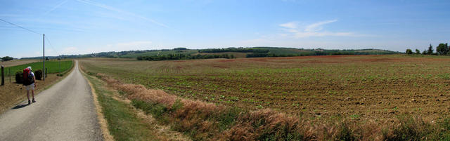 Breitbildfoto kurz nach Castelnau sur L'Auvignon