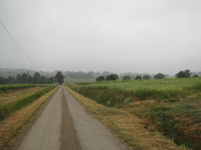 auch heute Morgennebel