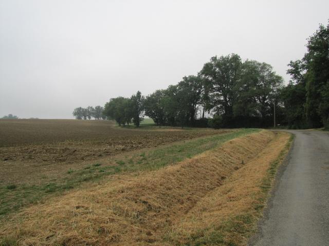 auf dem Weg nach Larressingle