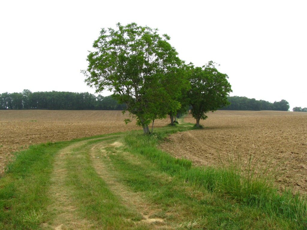 wieder ein schöner Streckenabschnitt