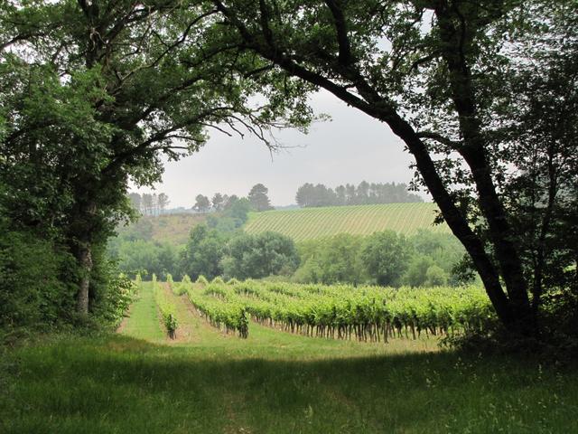 was für eine Aussicht! Der Jakobsweg schenkt einem immer wieder solche Augenblicke