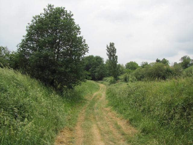 bei leichter Bewölkung und nicht mehr so heiss, wanderten wir durch Felder und Äcker