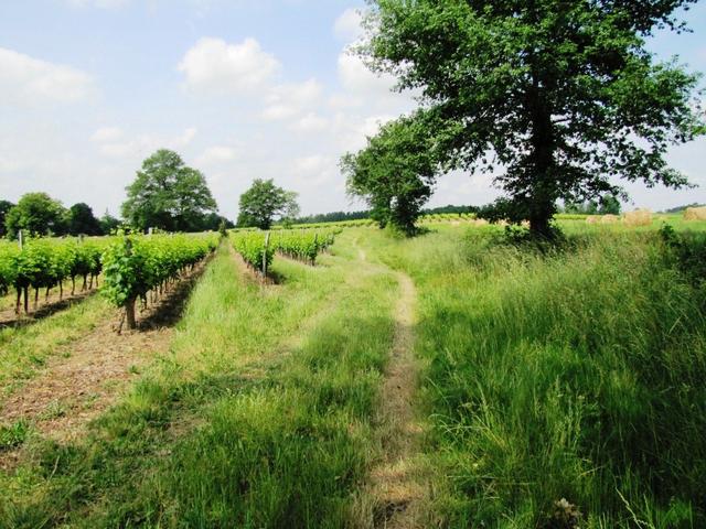 und dann dazu noch über so eine schöne Landschaft zu wandern, was will man noch mehr